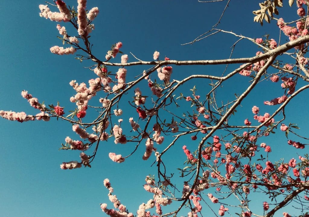 Best Season for Trekking