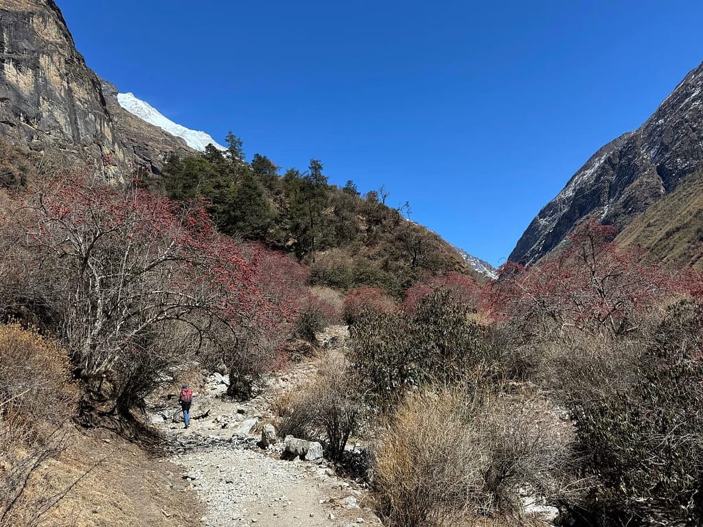 Trekkinginmountain.comSustainable Trekking Destinations