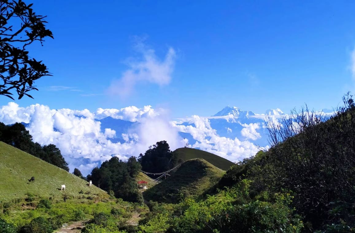 trekkinginmountain.com
