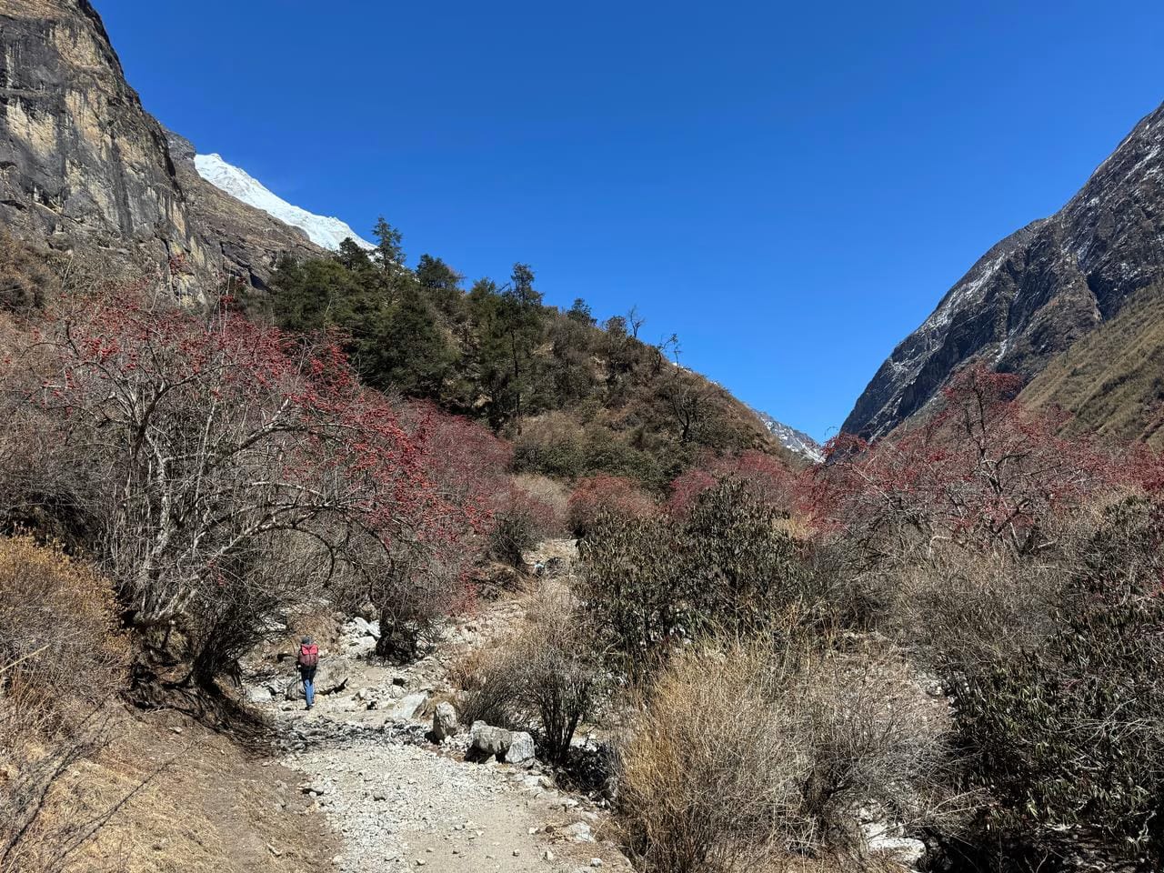 Trekkinginmountain.com