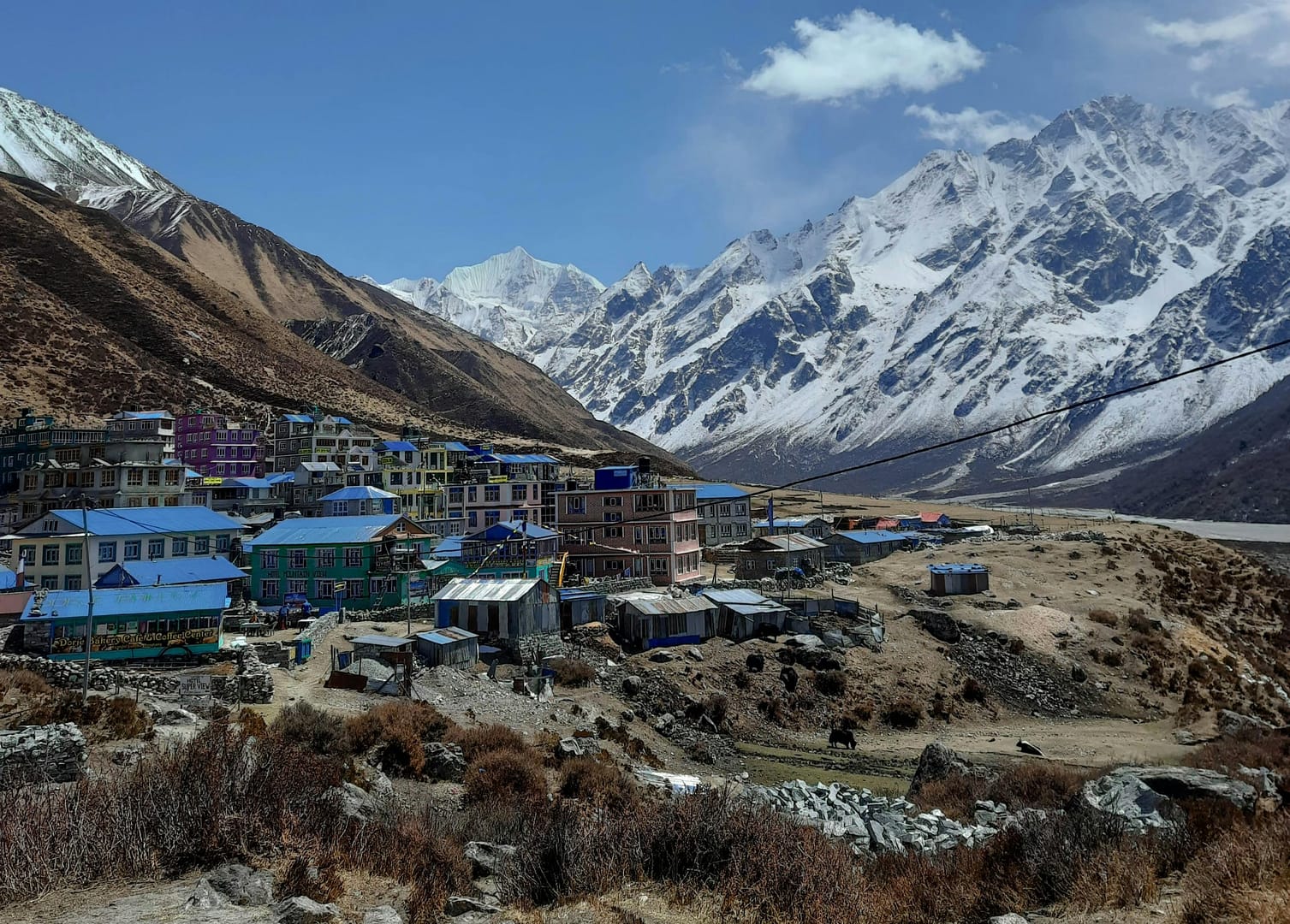 trekkinginmountain.com