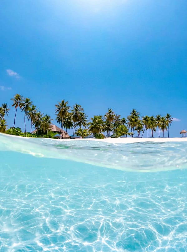 trekkinginmountain.com