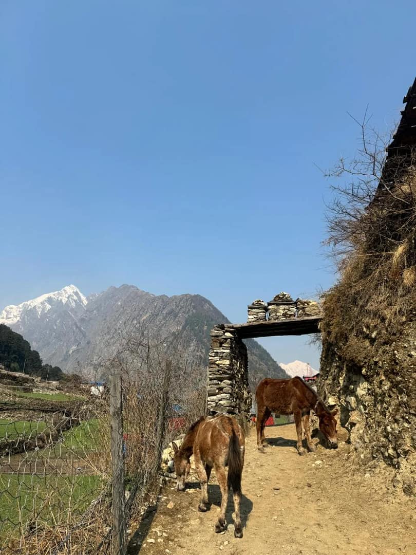views from manaslu region