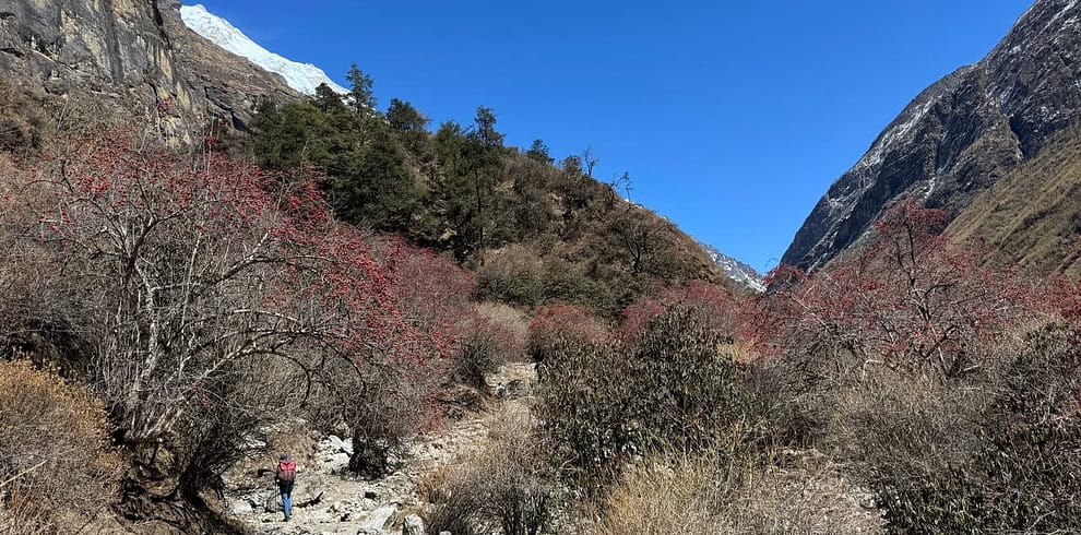 Trekkinginmountain.com