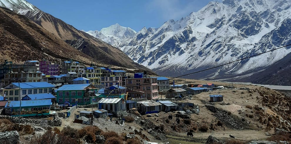 trekkinginmountain.com